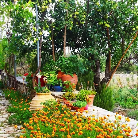 Holiday home Arkadia Traditional & Modern Stone House In Agridi Agridhion