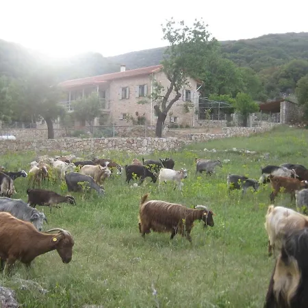 Arkadia Traditional & Modern Stone House In Agridi Casa de Férias