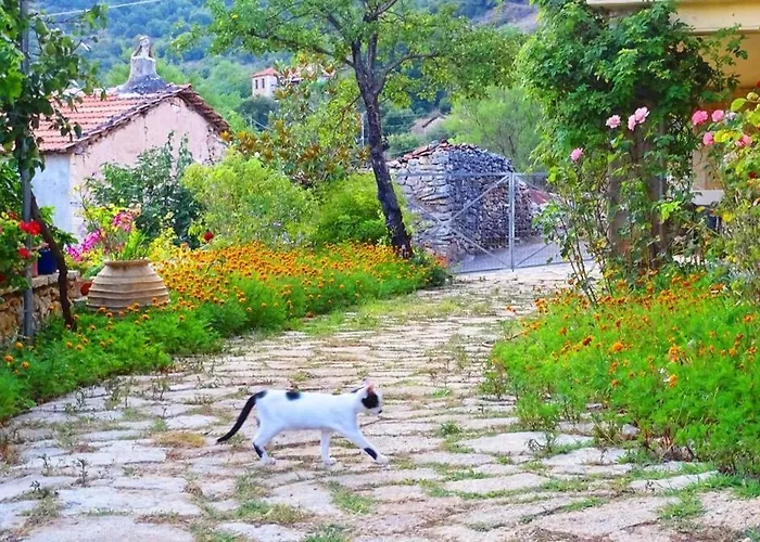 Arkadia Traditional & Modern Stone House In Agridi Holiday home *