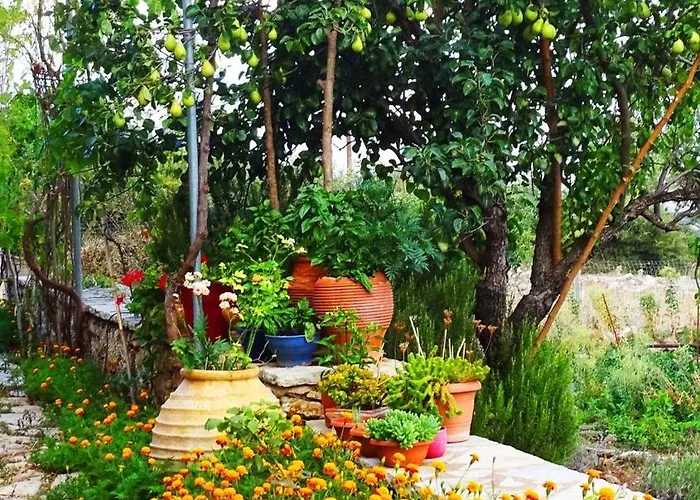 Holiday home Arkadia Traditional & Modern Stone House In Agridi Agridhion