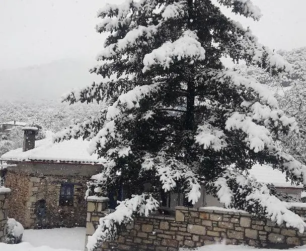 Arkadia Traditional & Modern Stone House In Agridi *