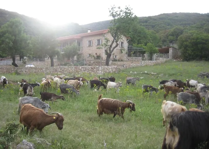Arkadia Traditional & Modern Stone House In Agridi Holiday home